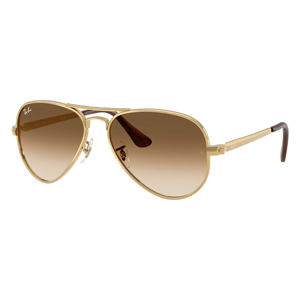 Ray-Ban Aviator Max RB3925 001/51 58 Sunglasses