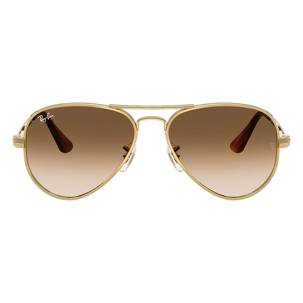Ray-Ban Aviator Max RB3925 001/51 58 Sunglasses