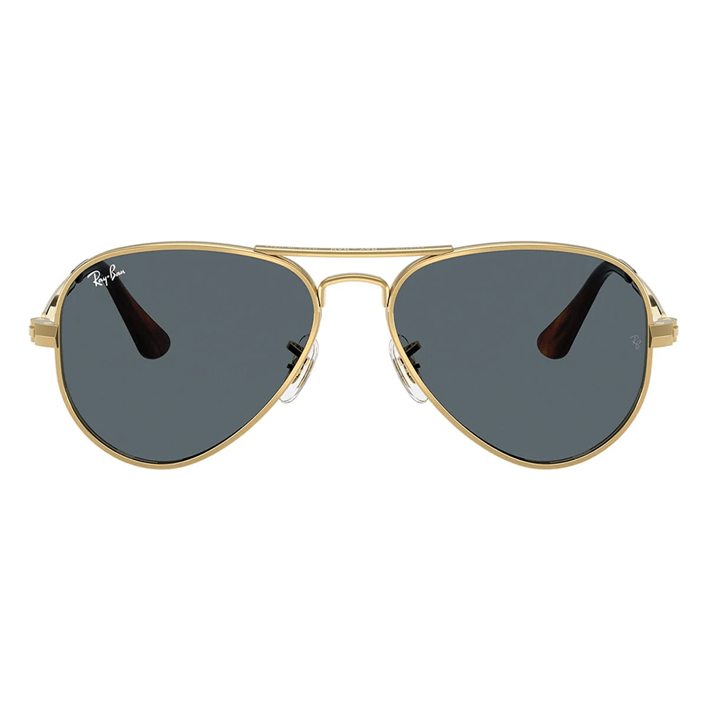 Ray-Ban Aviator Max RB3925 001/R5 58 Sunglasses