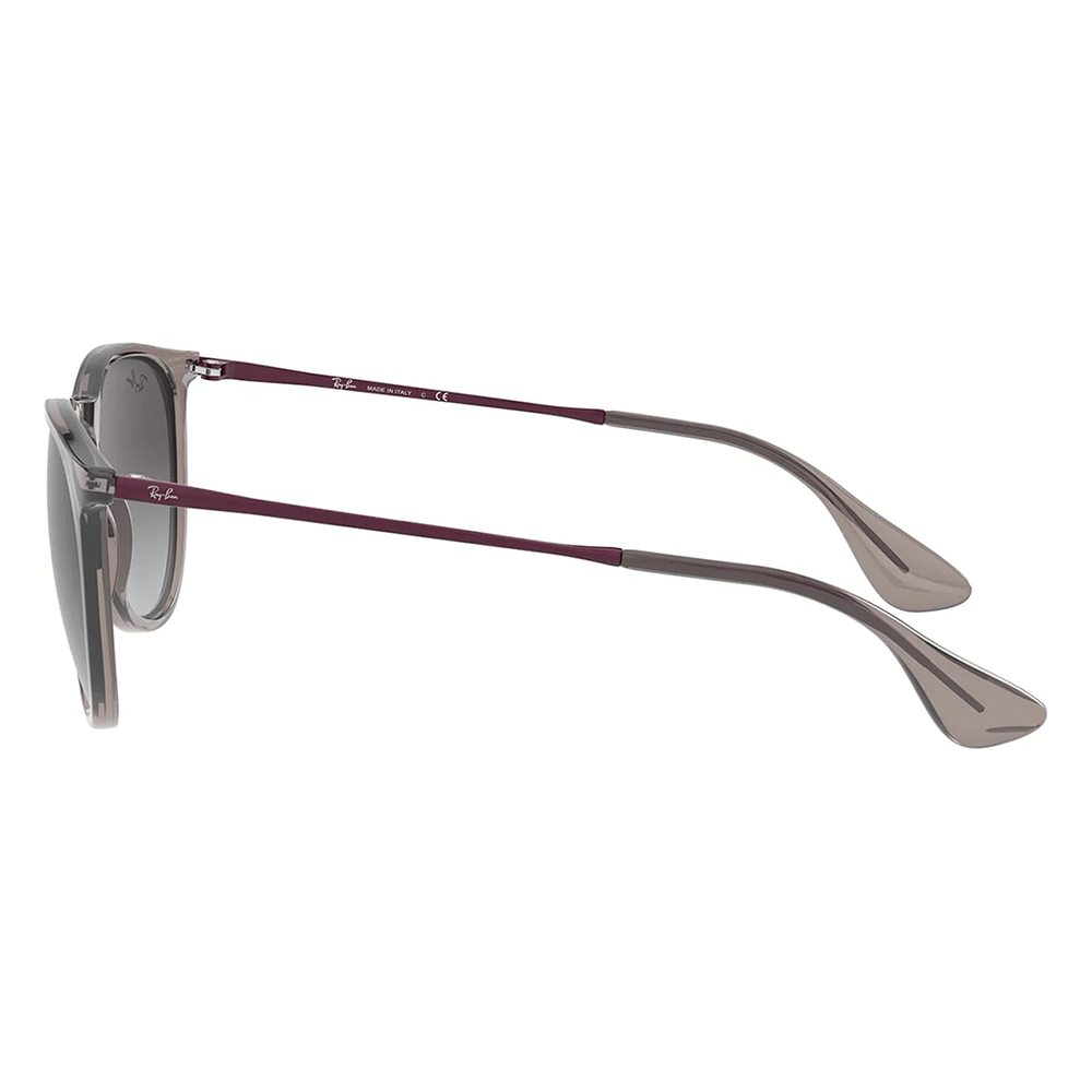 Ray-Ban ERIKA RB4171 65138G Sunglasses