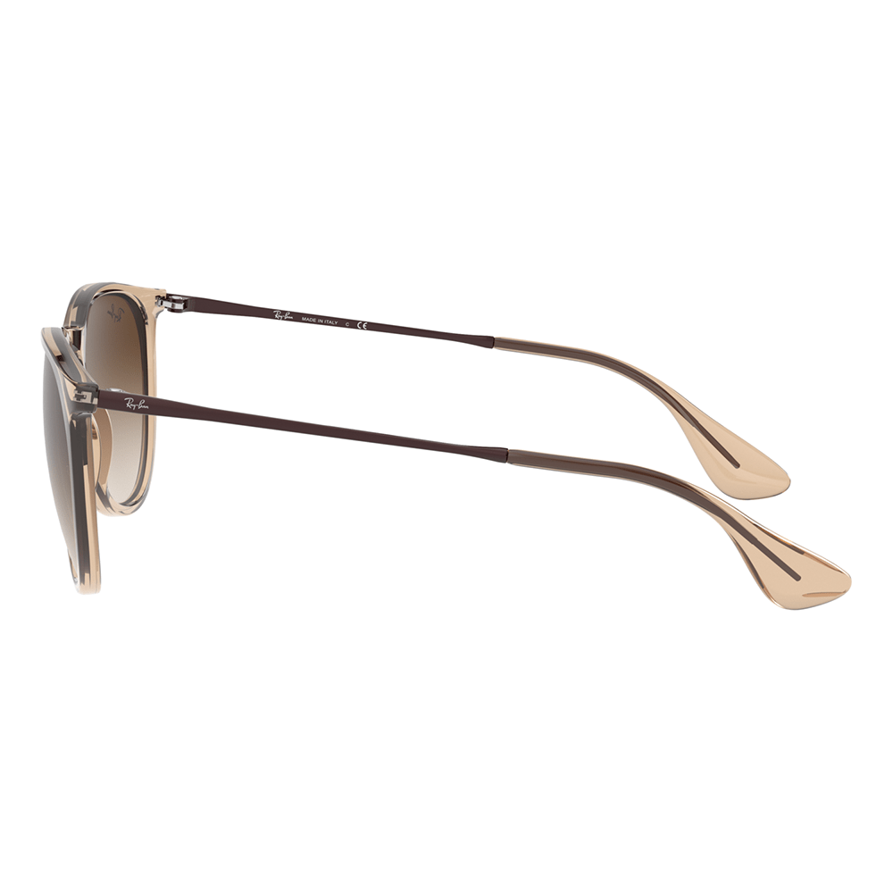 Ray-Ban ERIKA RB4171 651413 Sunglasses