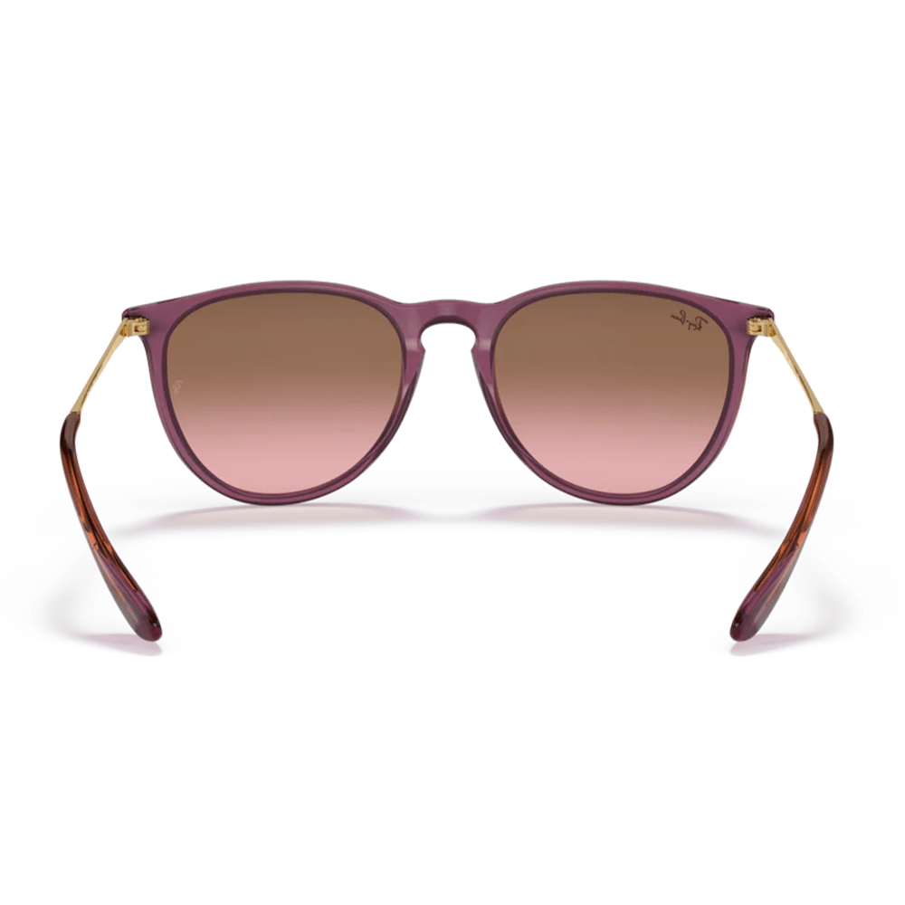 Ray-Ban ERIKA RB4171 659114 Sunglasses