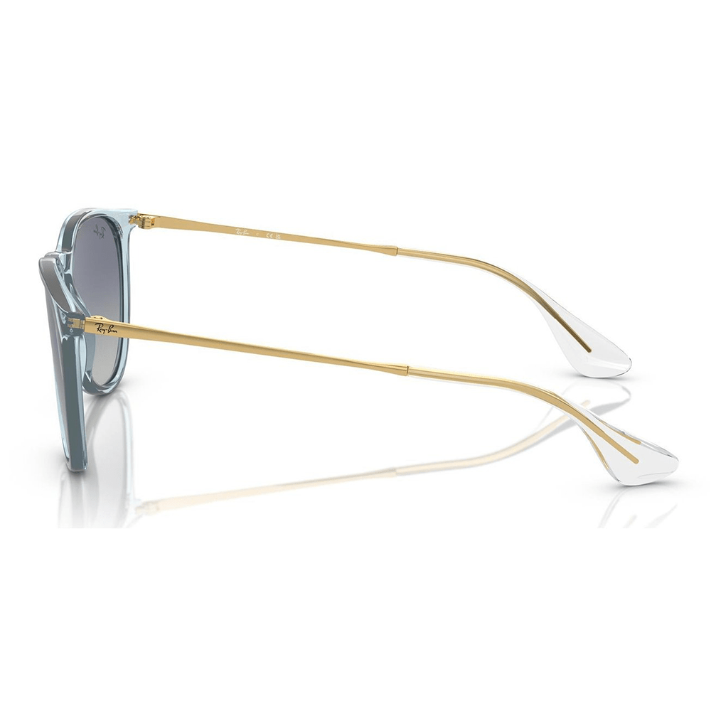 Ray-Ban Erika RB4171 67434L Sunglasses