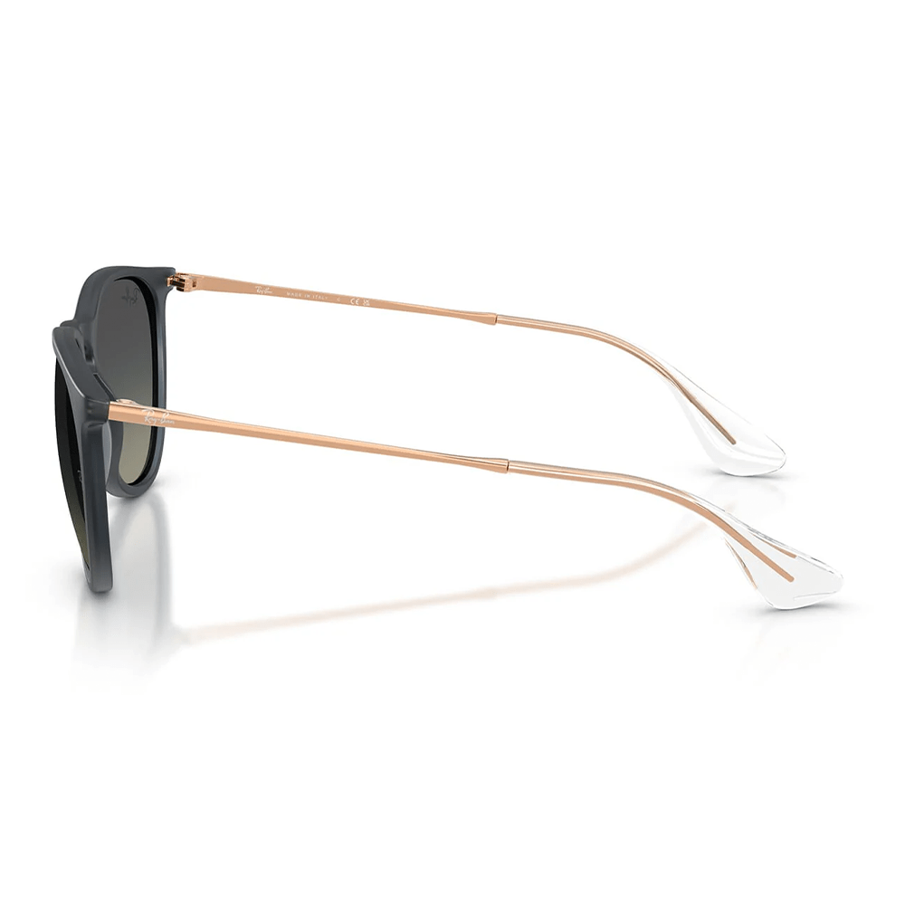 Ray-Ban Erika RB4171 681311 Sunglasses