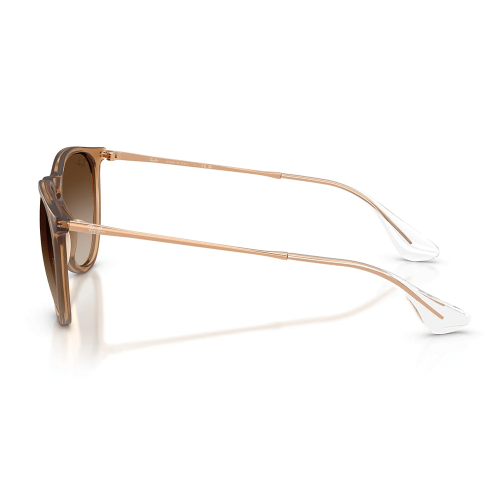 Ray-Ban Erika RB4171 681413 Sunglasses