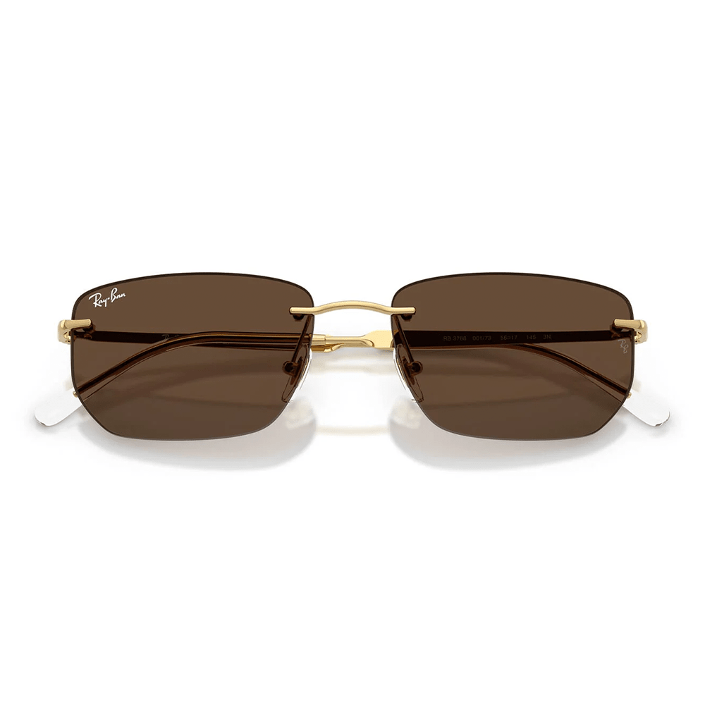 Ray-Ban RB3768 001/73 Sunglasses