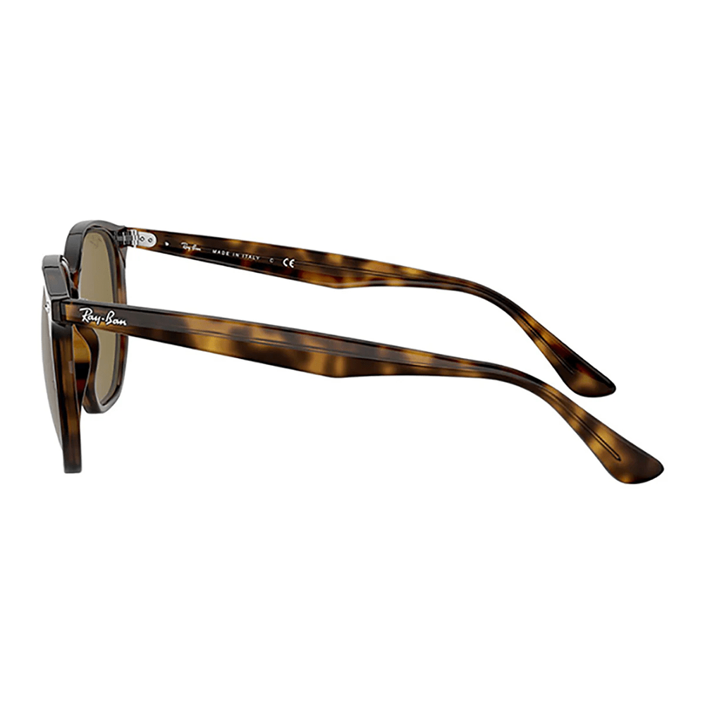 Ray-Ban RB4306 710/73 Sunglasses