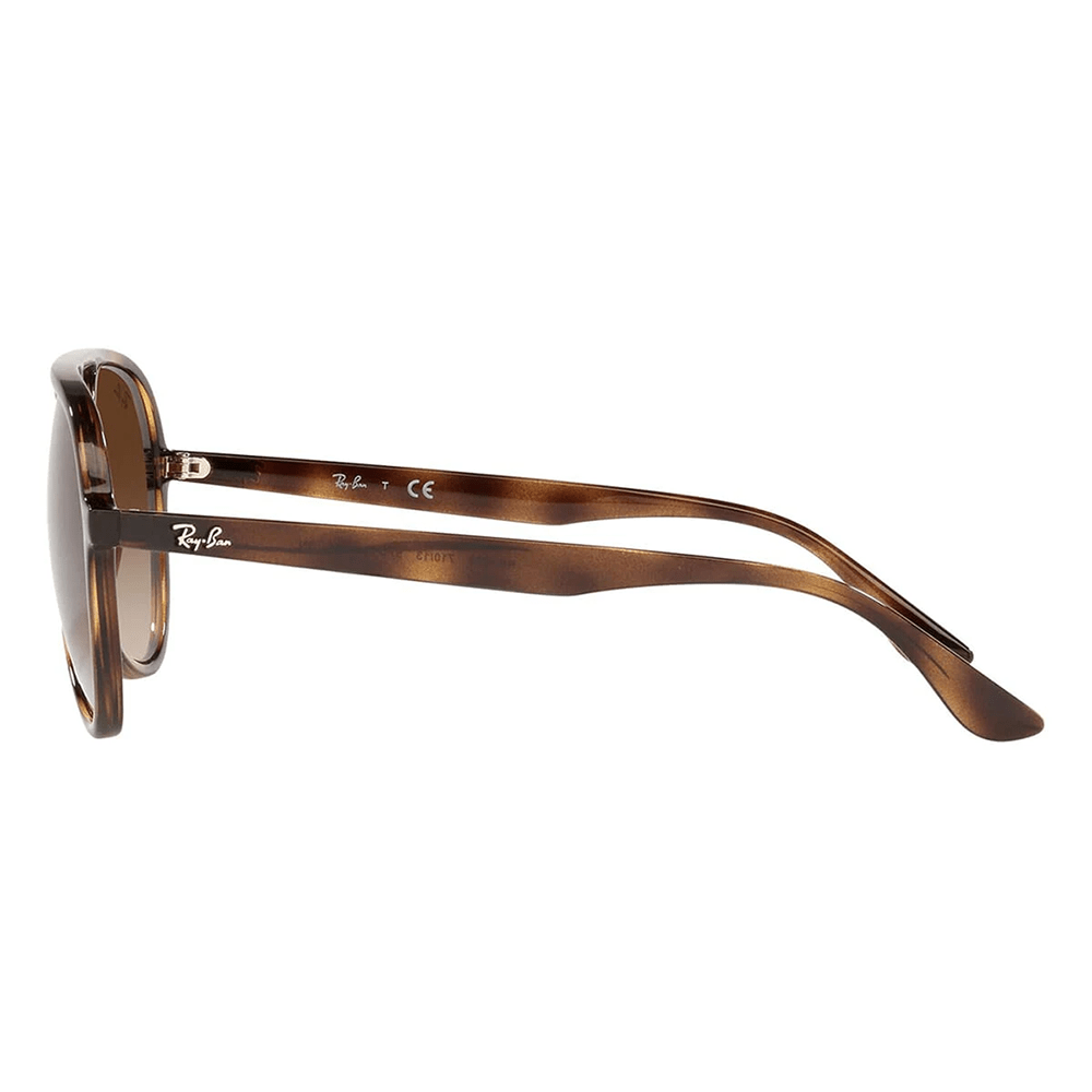 Ray-Ban RB4376 710/13 Sunglasses