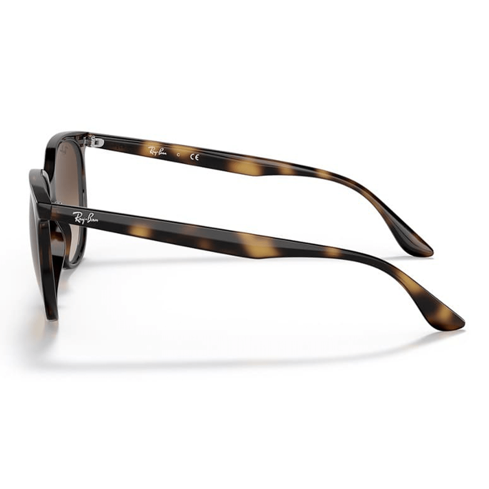 Ray-Ban RB4378 710/13 Sunglasses