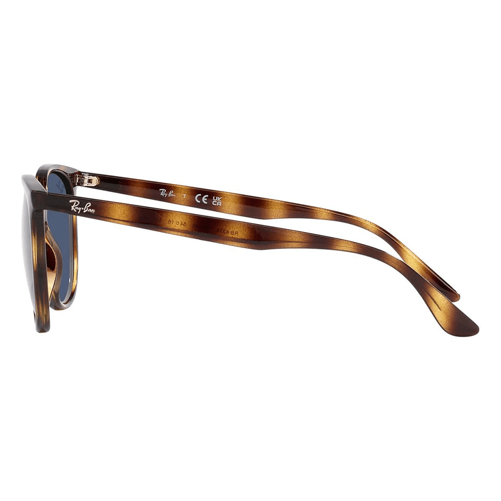 Ray-Ban RB4378 710/80 Sunglasses