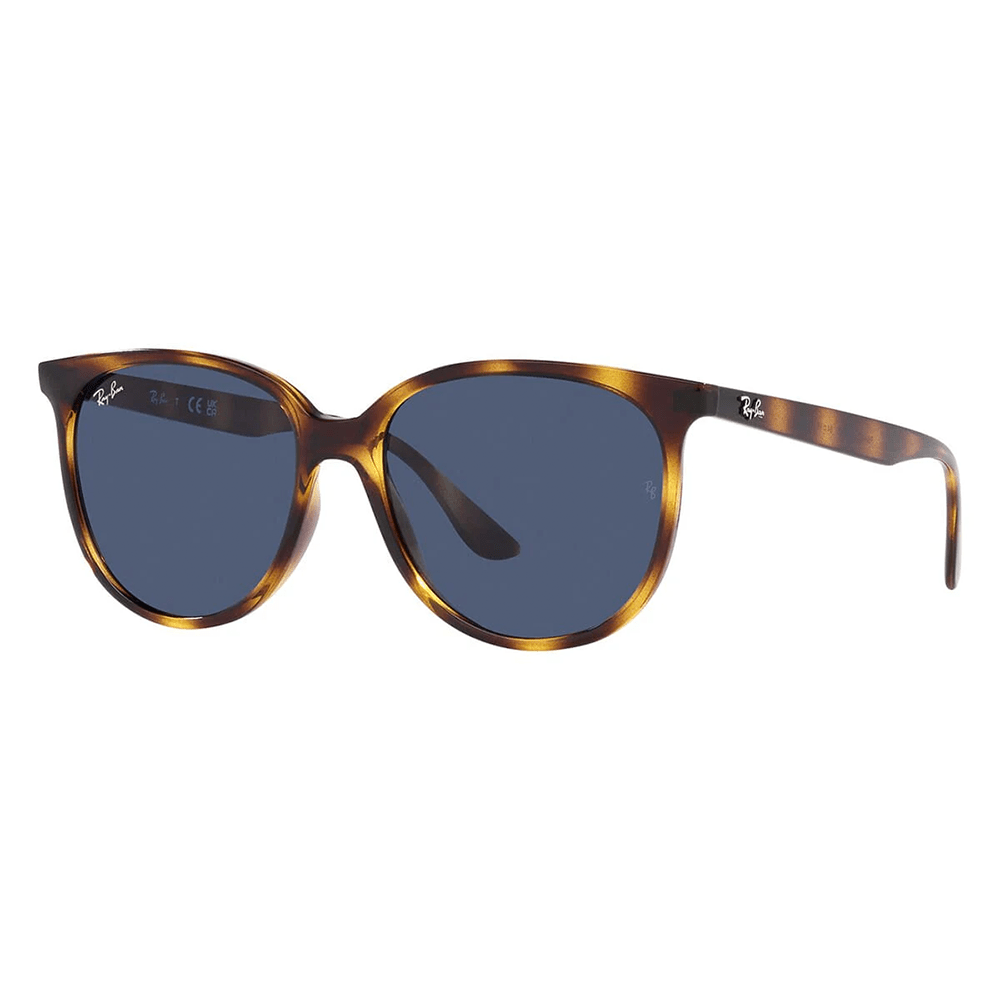 Ray-Ban RB4378 710/80 Sunglasses