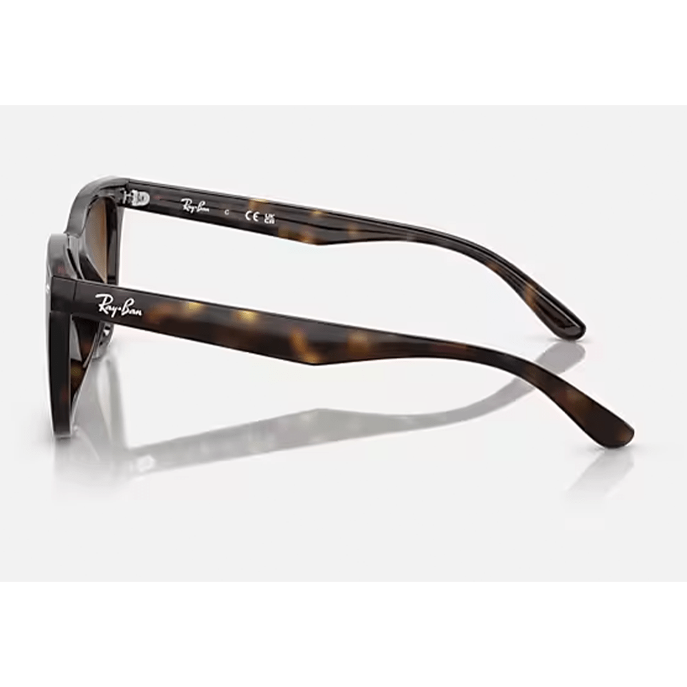 Ray-Ban RB4420 710/13 Sunglasses