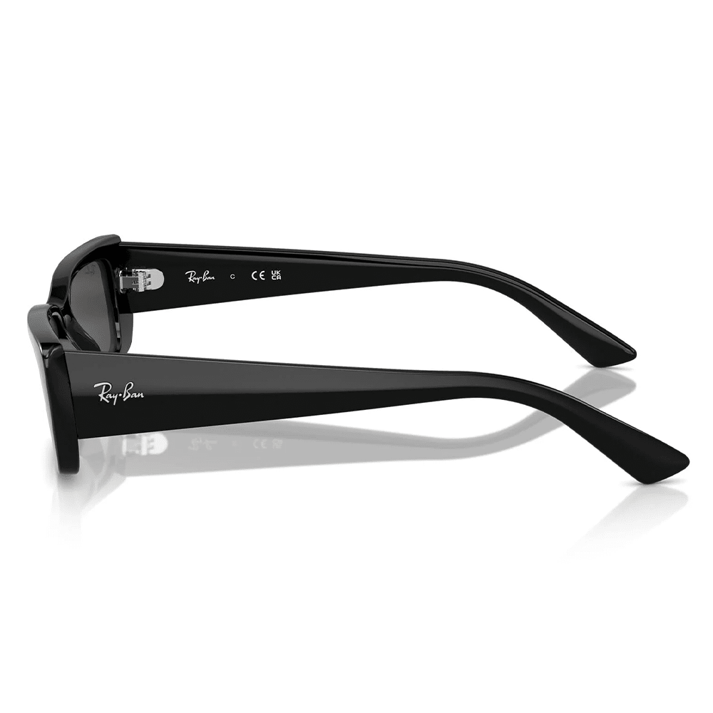 Ray-Ban RB4425 667787 Sunglasses