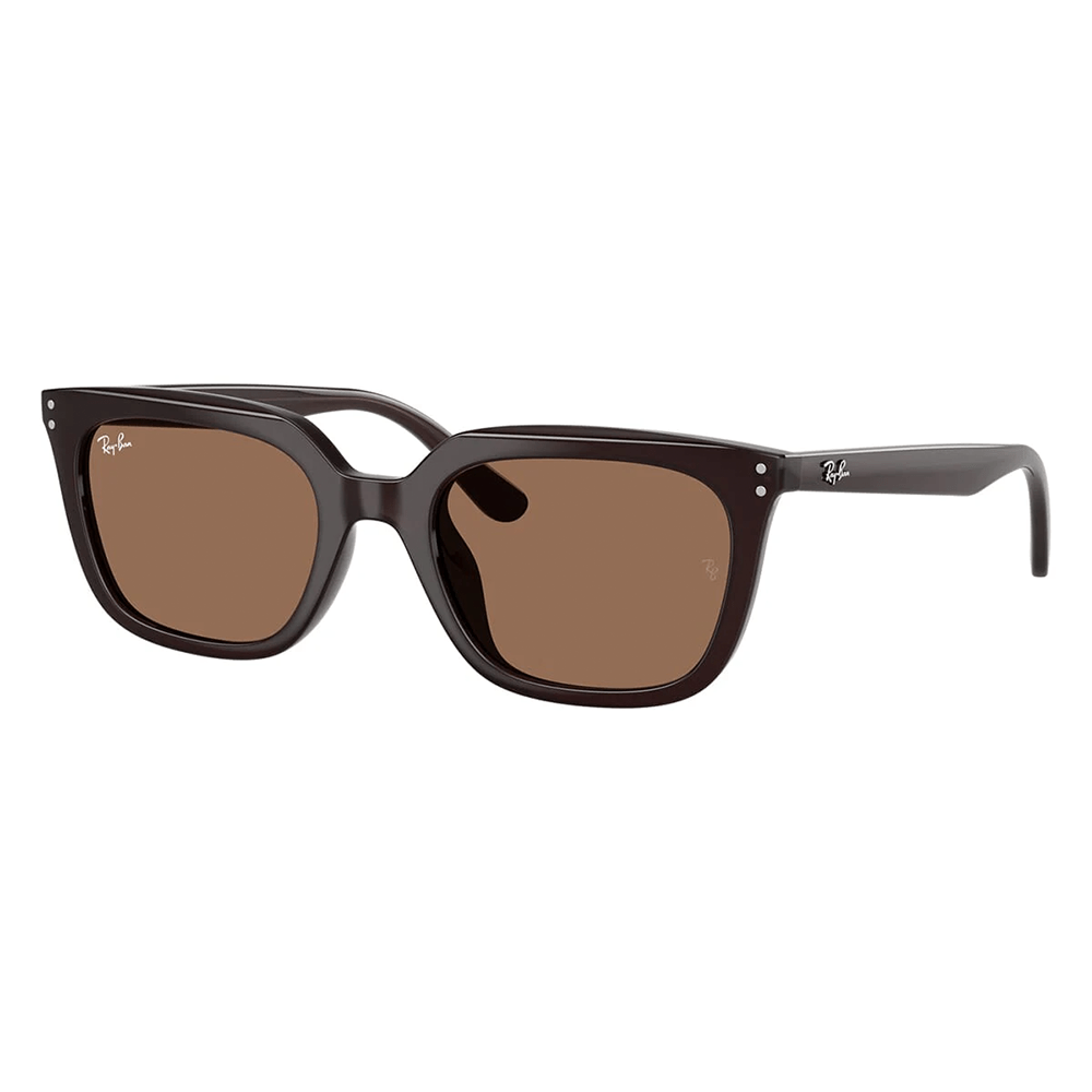 Ray-Ban RB4439D 6231/73 Sunglasses