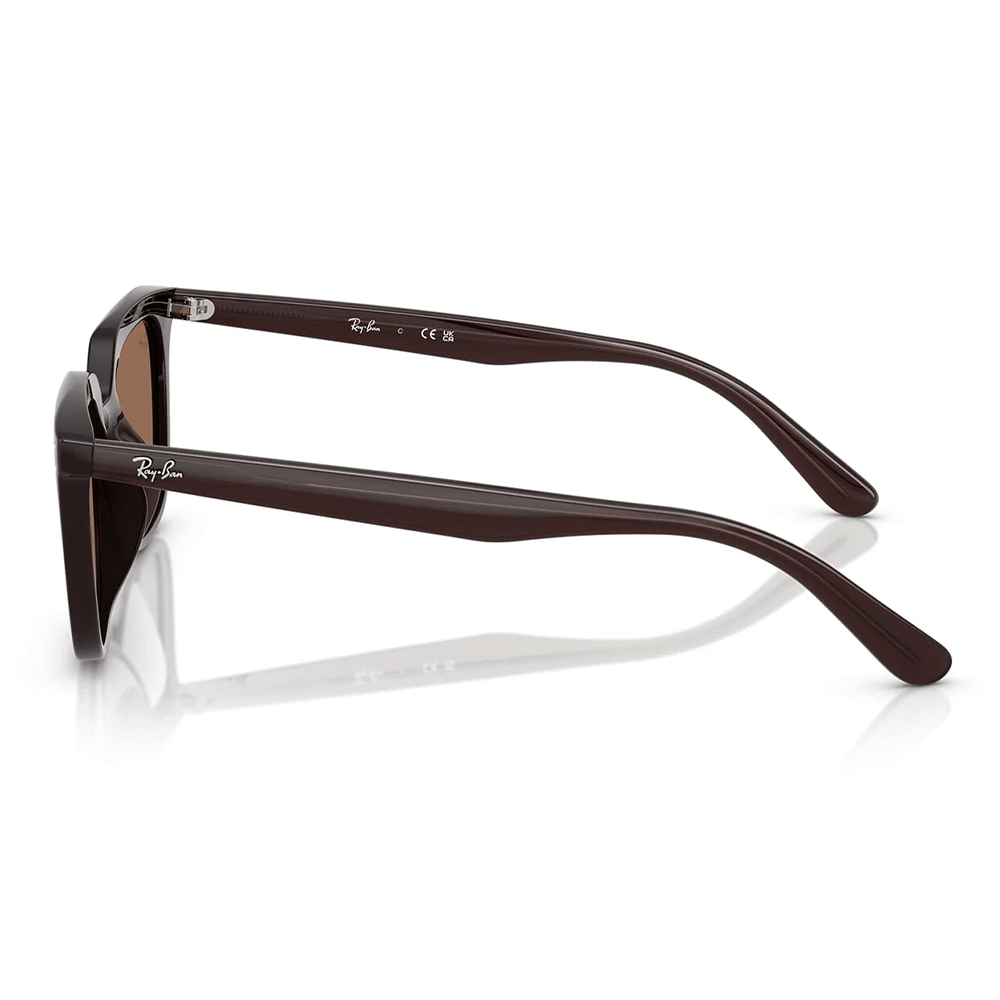 Ray-Ban RB4439D 6231/73 Sunglasses