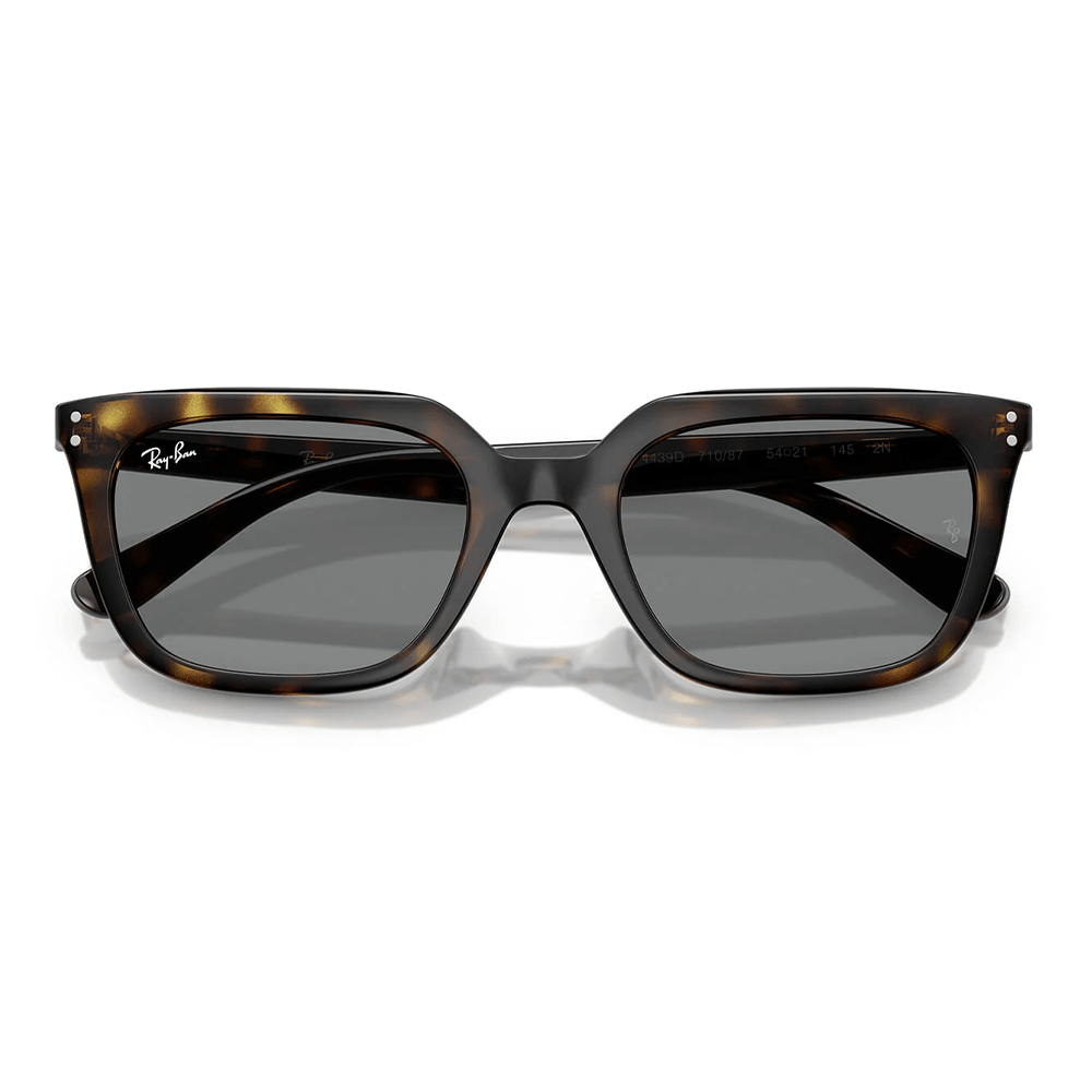 Ray-Ban RB4439D 710/87 Sunglasses
