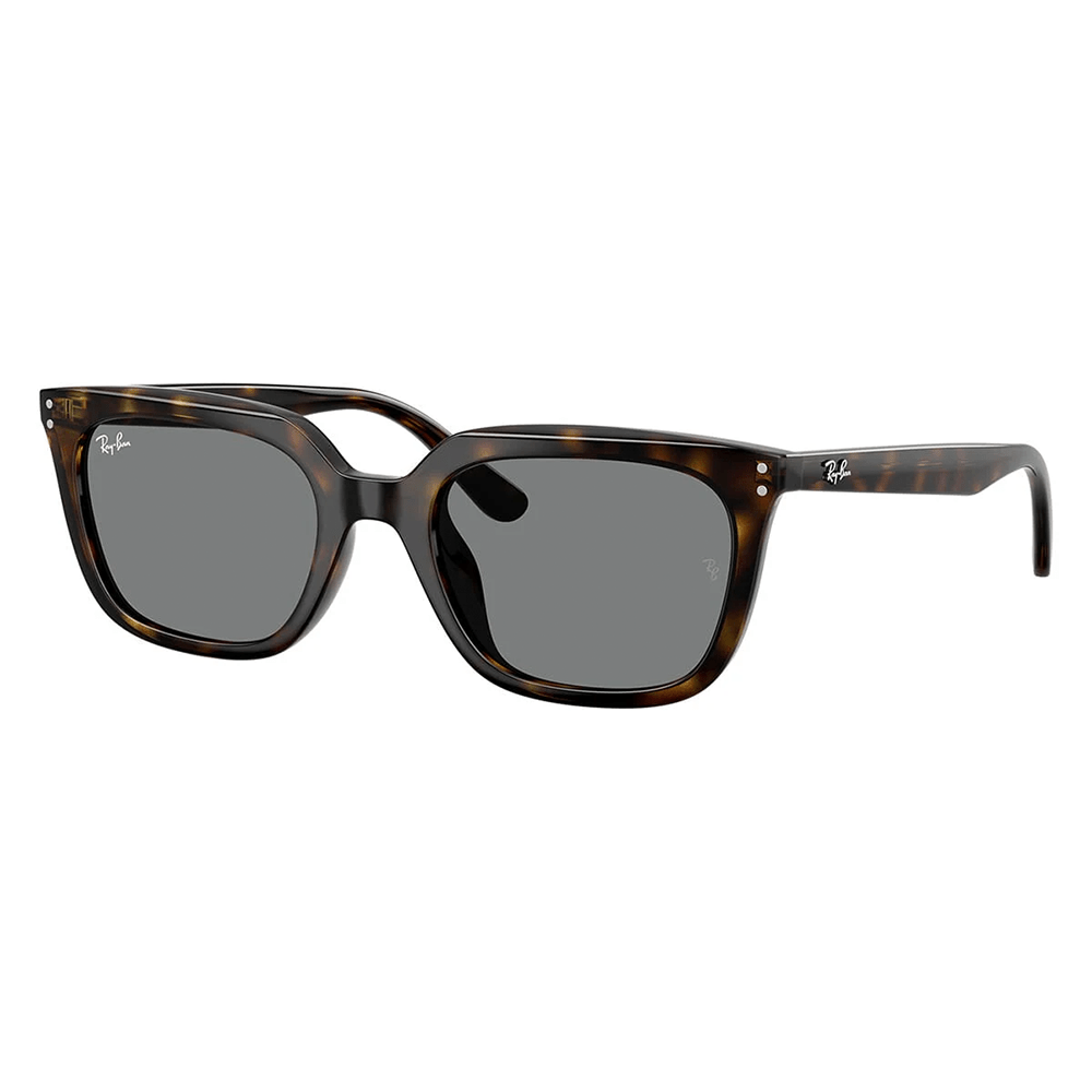 Ray-Ban RB4439D 710/87 Sunglasses