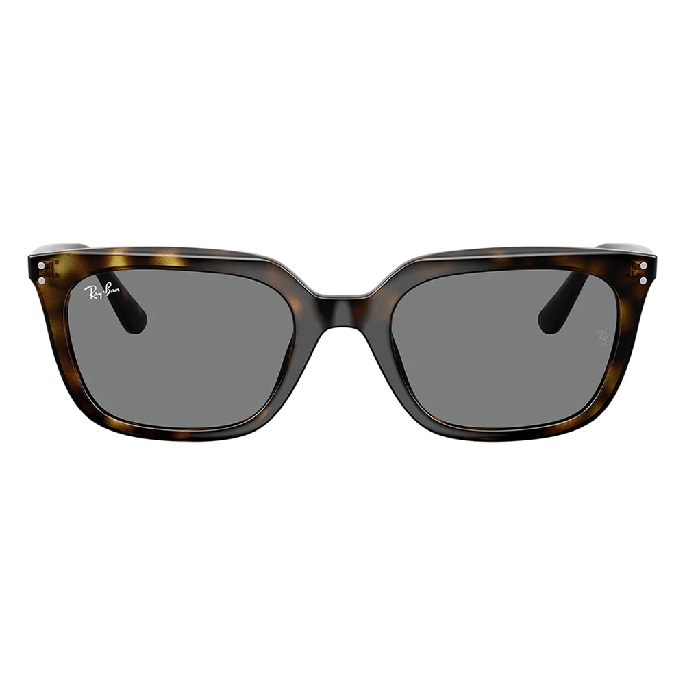 Ray-Ban RB4439D 710/87 Sunglasses
