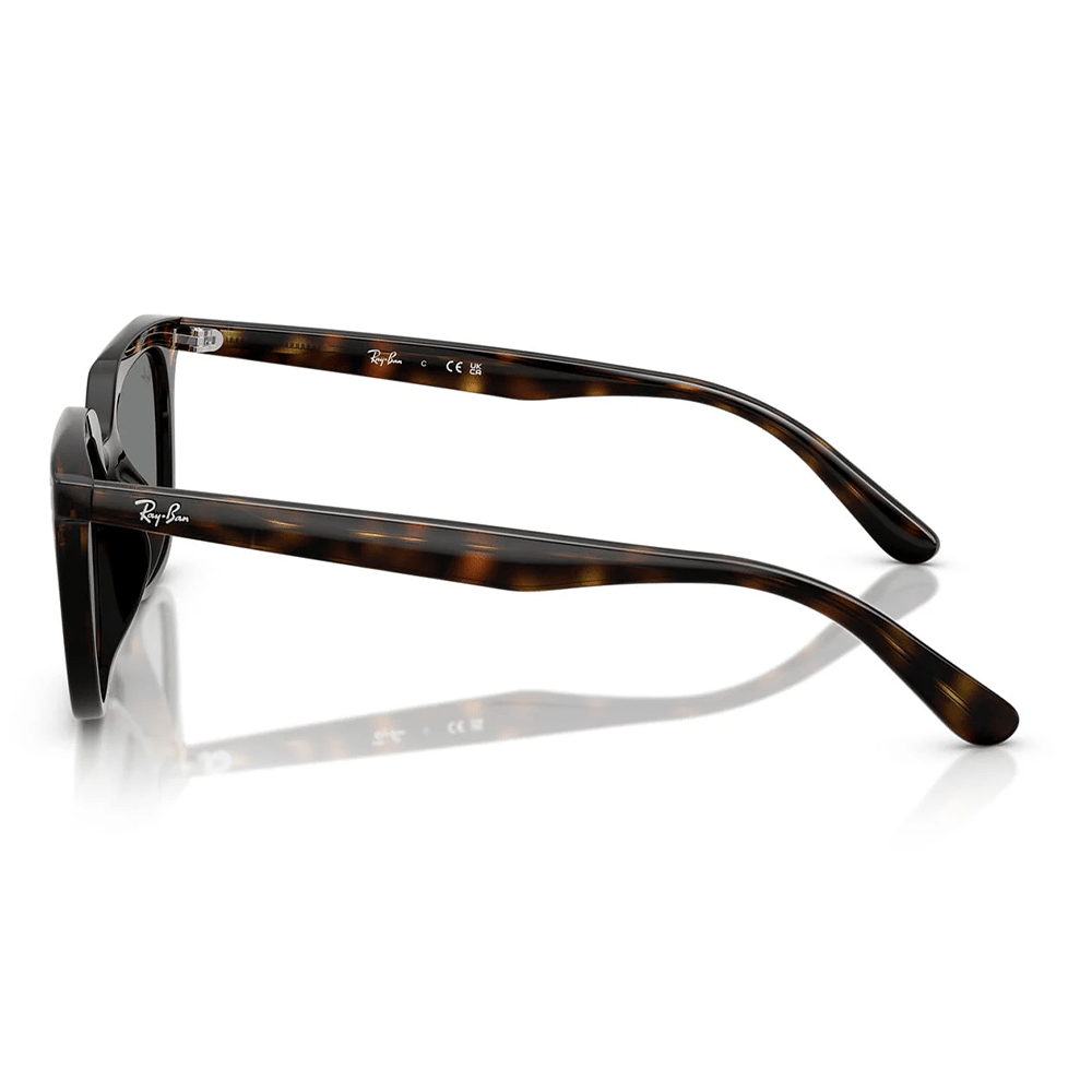 Ray-Ban RB4439D 710/87 Sunglasses
