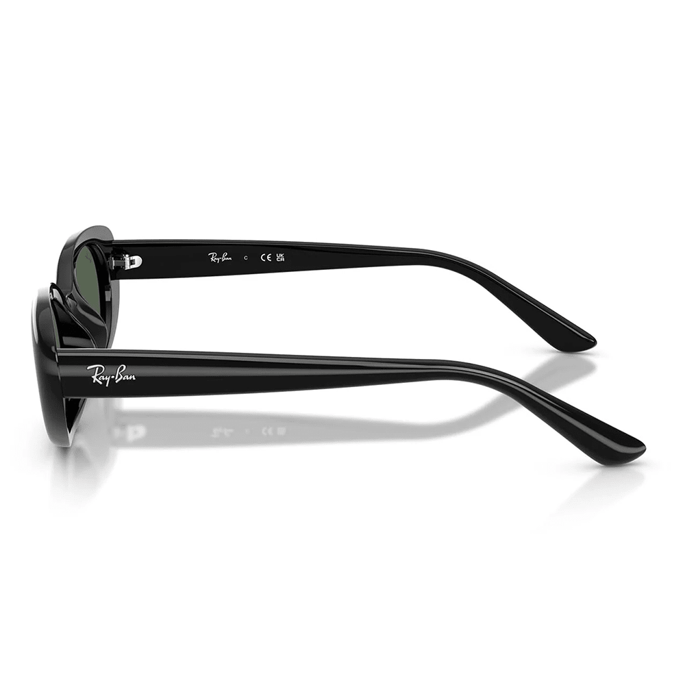 Ray-Ban RB4441D 667771 Sunglasses