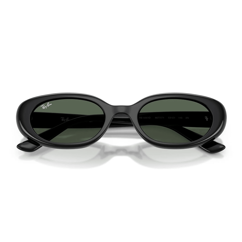 Ray-Ban RB4441D 667771 Sunglasses