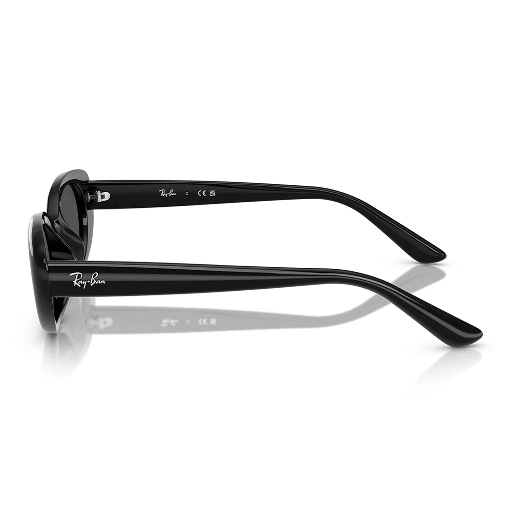 Ray-Ban RB4441D 667787 Sunglasses