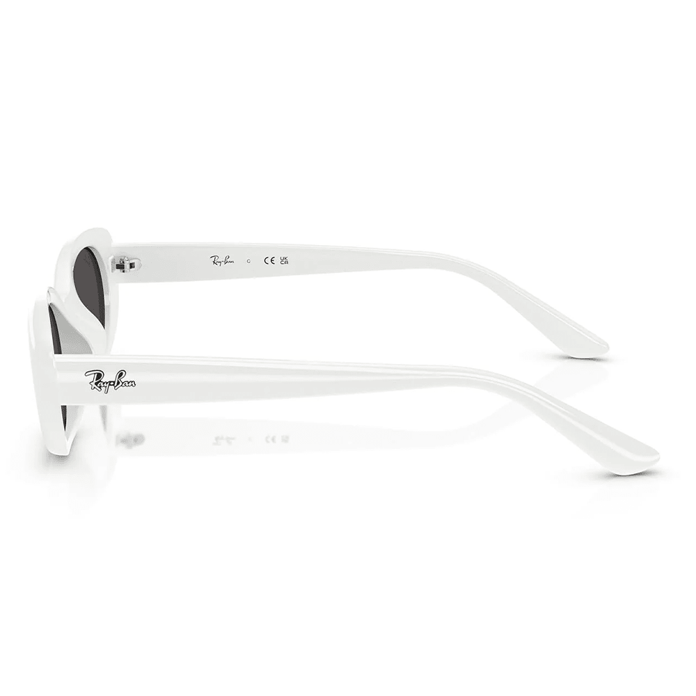 Ray-Ban RB4441D 677287 Sunglasses