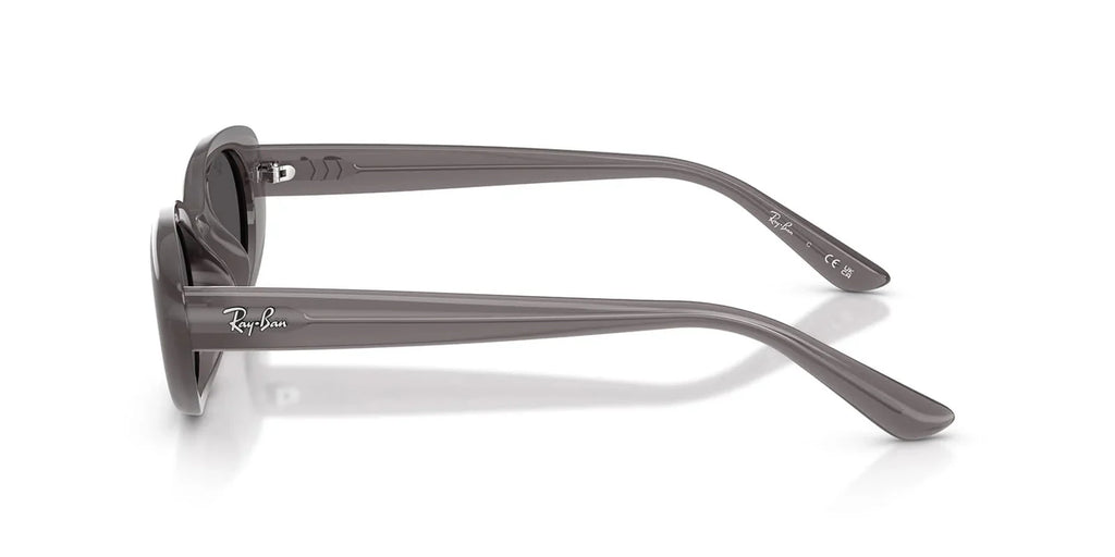 Ray-Ban RB4441D 677787 Sunglasses