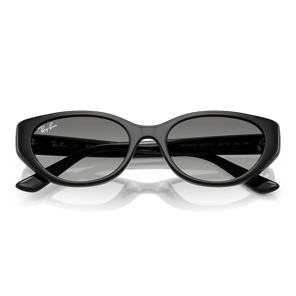 Ray-Ban RB4457D 667711 Sunglasses
