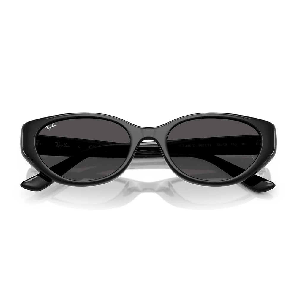 Ray-Ban RB4457D 667787 Sunglasses