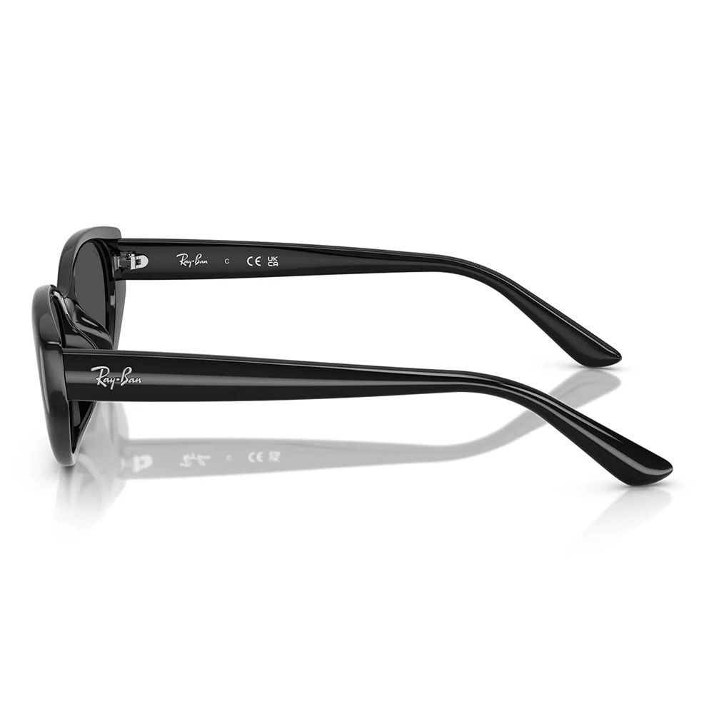 Ray-Ban RB4457D 667787 Sunglasses