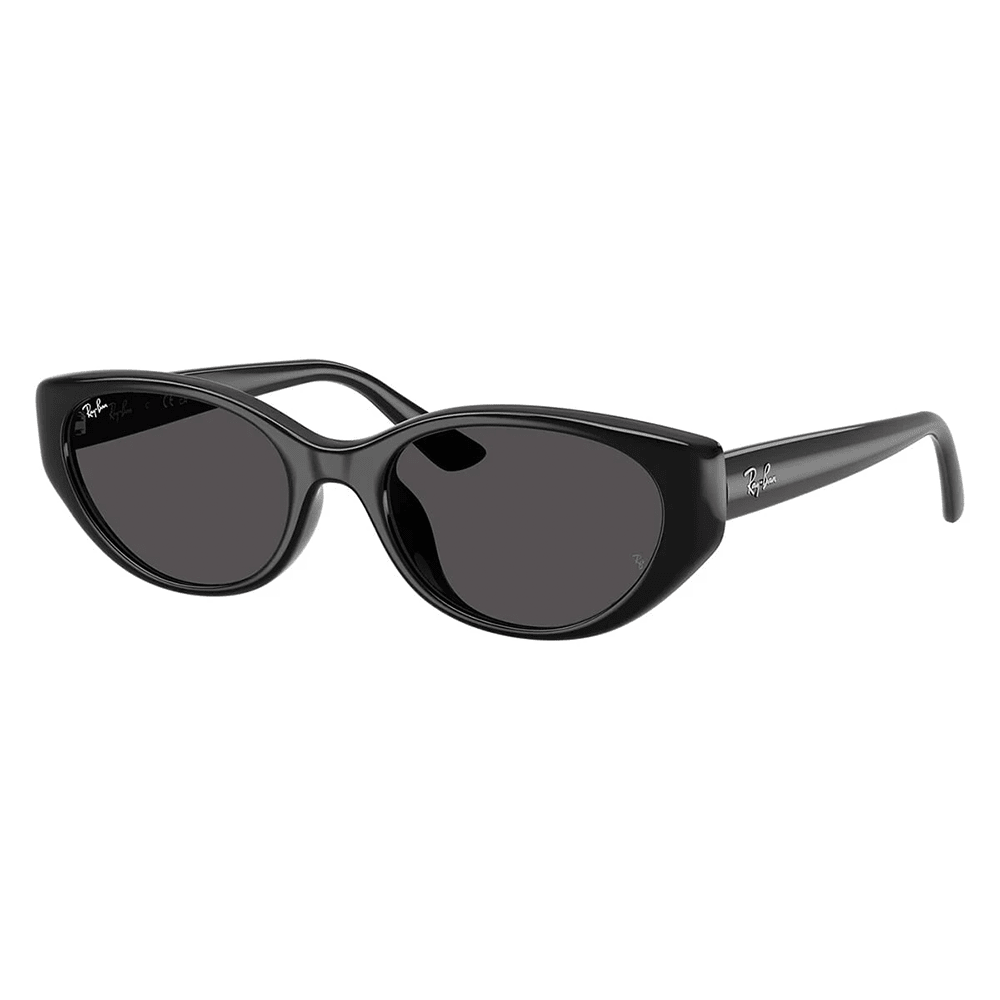 Ray-Ban RB4457D 667787 Sunglasses