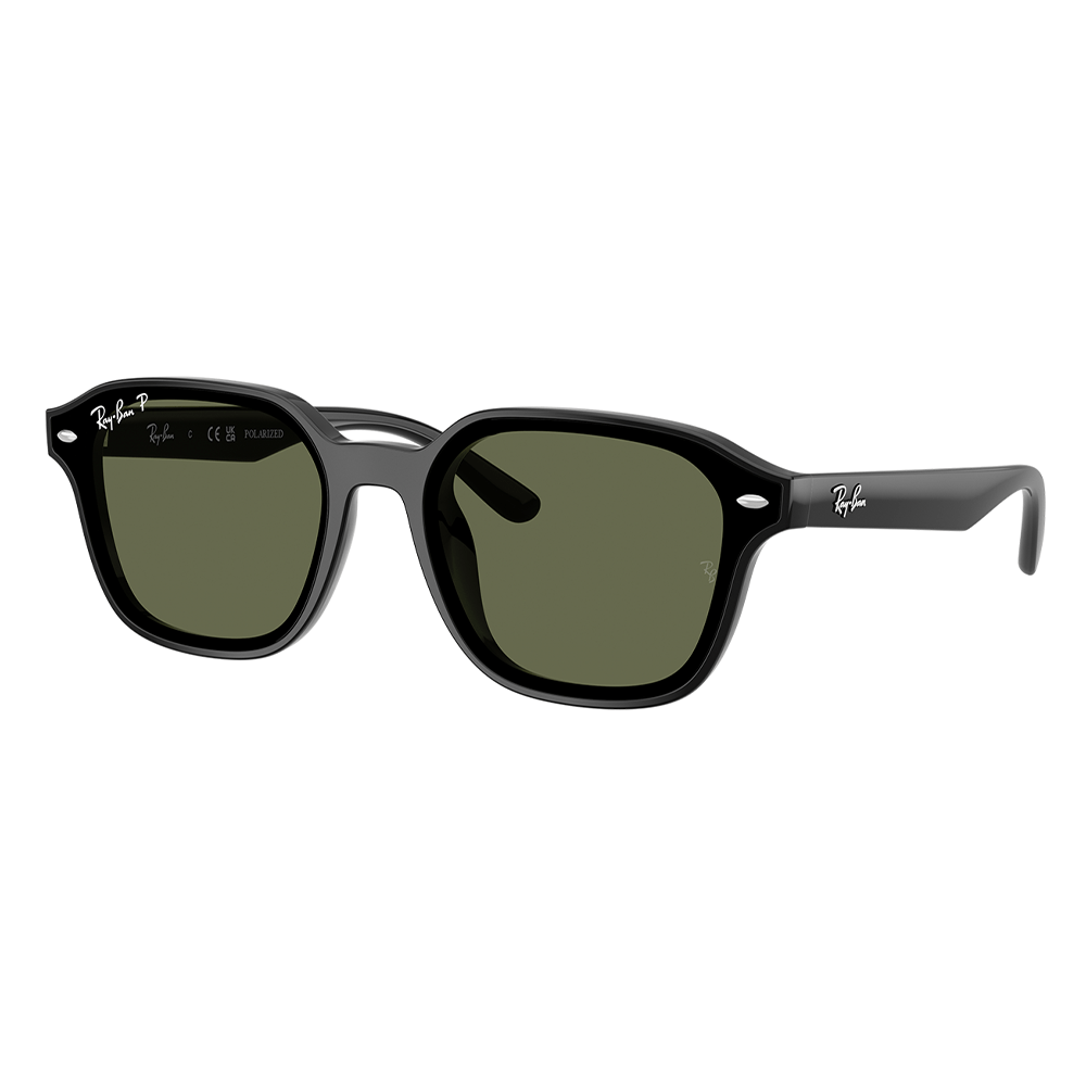 Ray-Ban RB4458D 601/9A Polarised Sunglasses
