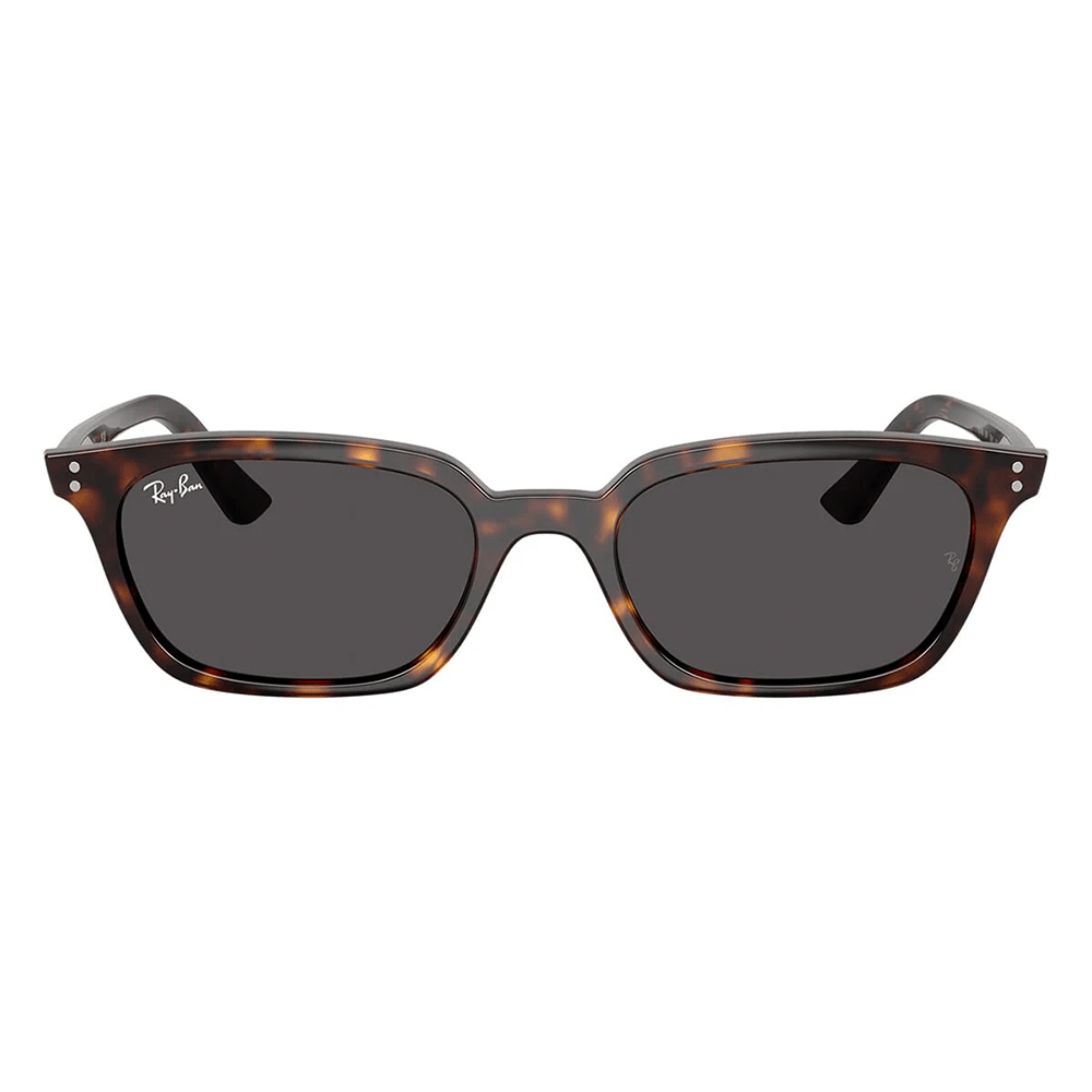 Ray-Ban Zaya RB4456 1359/87 50 Sunglasses