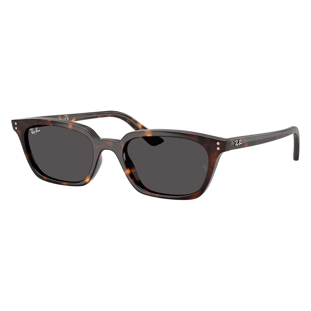 Ray-Ban Zaya RB4456 1359/87 50 Sunglasses