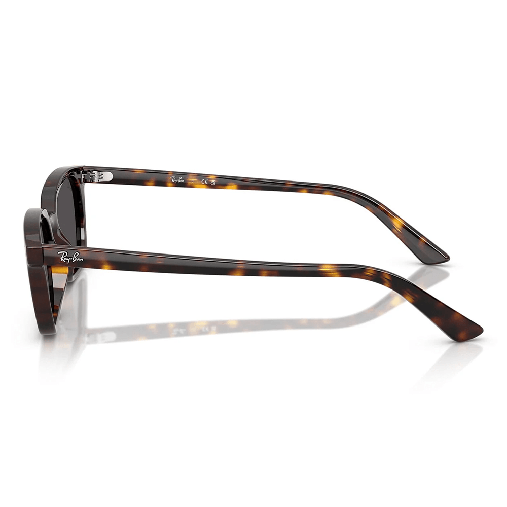 Ray-Ban Zaya RB4456 1359/87 53 Sunglasses