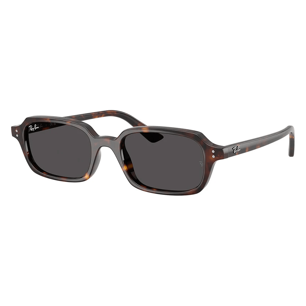 Ray-Ban Zuri RB4455 1359/87 49 Sunglasses