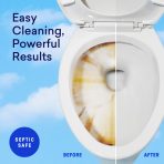 1 Year of Toilet Bowl Cleaner - Image 4