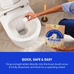1 Year of Toilet Bowl Cleaner - Image 9